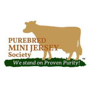 PMJS - Open Miniature Jersey Herd Book Registry accepting applications with BBR for Purebred Mini Jersey Society, American Miniature Jersey Dairy Cows.  PurebredMiniJerseys.org