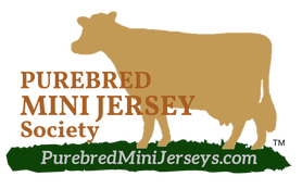 PMJS - Open Herd Book Registry accepting applications with BBR for Purebred Mini Jersey Society Registry of Miniature Jersey Dairy Cows.  PurebredMiniJerseys.com